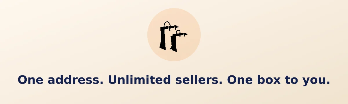 One India address, unlimited sellers, one box delivered to you